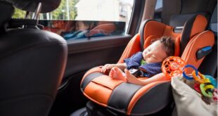 Quantas horas pode um bebê viajar num carro?