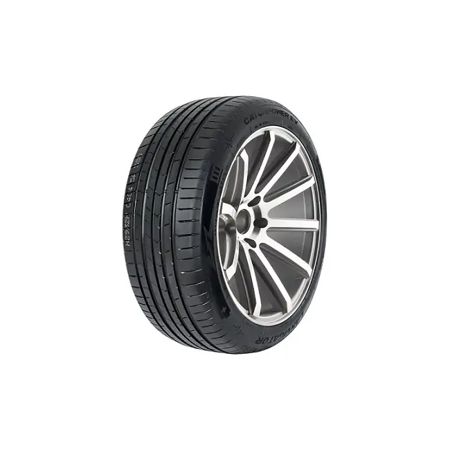 275/45ZR20 110Y XL CATCHPOWER EV