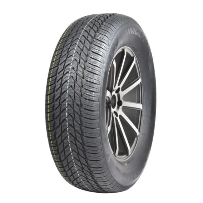 165/65R15 81T WINTERGRIP HP