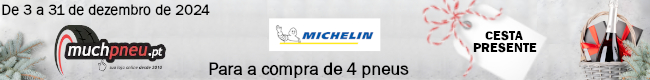 Cestas Michelin